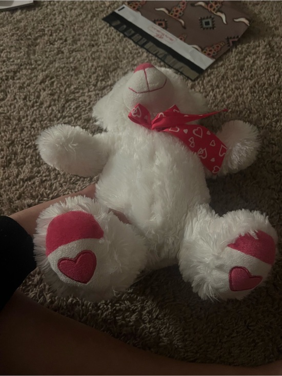 Other - White Plush Teddy Bear with Pink Heart Accents
